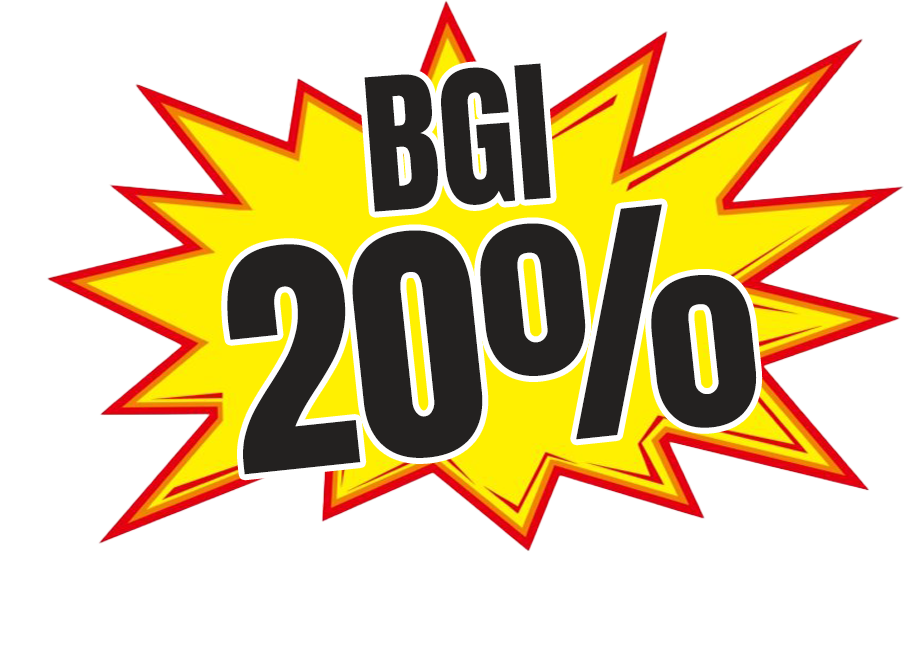 BGI 20